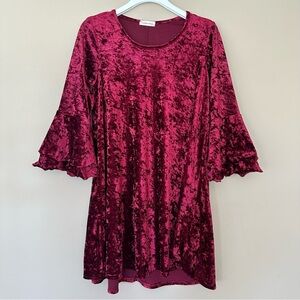 Woman's S Red Crushed Velvet Dress Bell Sleeve Whimsigoth Romantic Fairy Grunge